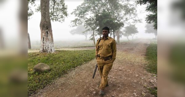 chhattisgarh forest guard recruitment registration 2024 begins for 1484 ...