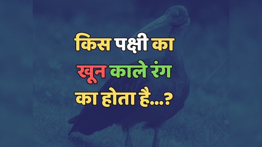 Trending Quiz : किस पक्षी का खून काले रंग का होता है?