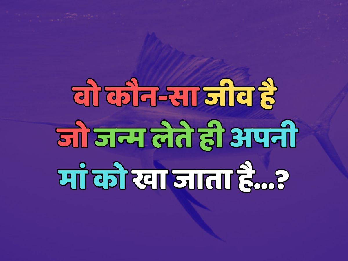 Trending Quiz : वो कौन-सा जीव है, जो जन्म लेते ही अपनी मां को खा जाता है? Trending Quiz : वो कौन-सा जीव है, जो जन्म लेते ही अपनी मां को खा जाता है?