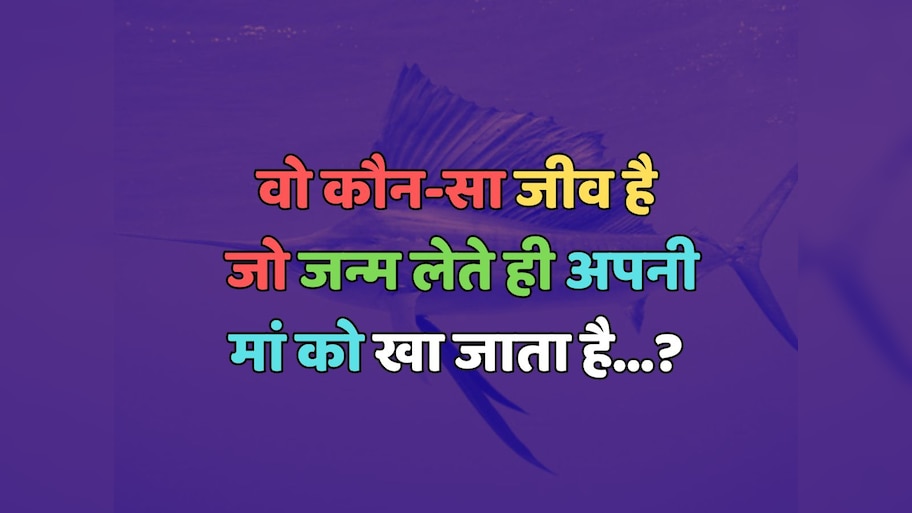 Trending Quiz : वो कौन-सा जीव है, जो जन्म लेते ही अपनी मां को खा जाता है?