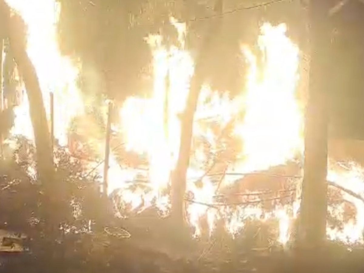 जहानाबाद में बांसवाड़ी में लगी भीषण आग, दर्जनों पेड़ जलकर हुए स्वाहा