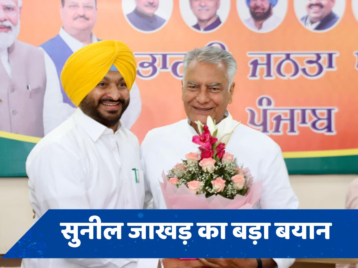 लोकसभा चुनाव में मिली हार लेकिन पंजाब में बीजेपी के लिए क्या है 'हैप्पी मोमेंट फैक्टर', राज्य पार्टी अध्यक्ष ने बताया