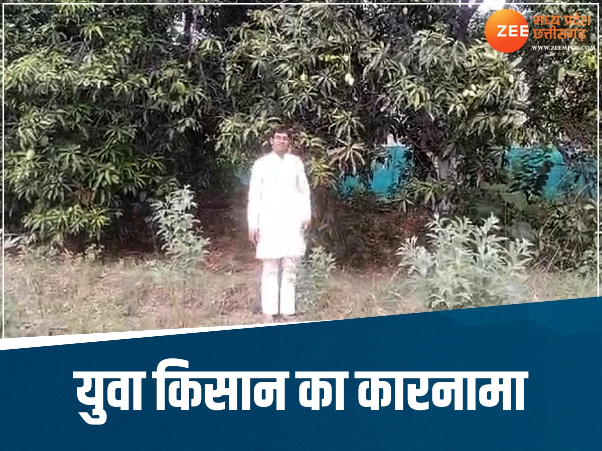 Sagar News: MP के युवा किसान का कमाल, अपने बागीचे में उगाए 32 प्रकार के आम 