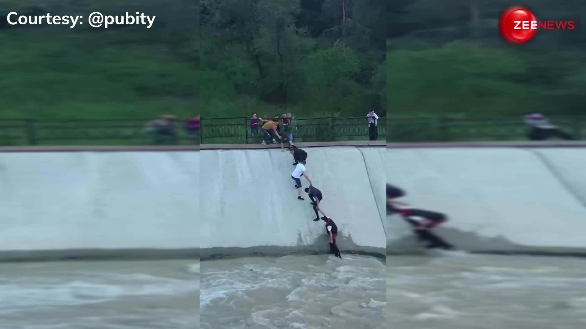 people help the dog fell in water video gone viral on social media ...