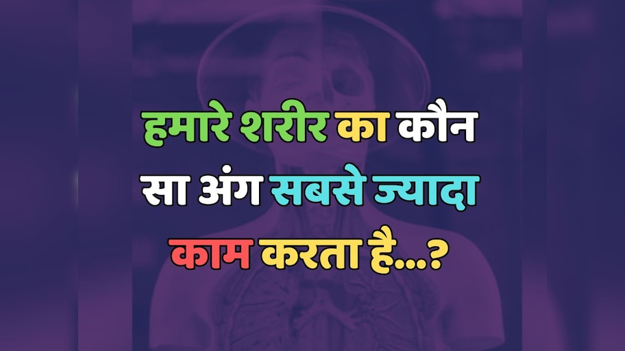 Trending Quiz : हमारे शरीर का कौन-सा अंग सबसे ज्यादा काम करता है?