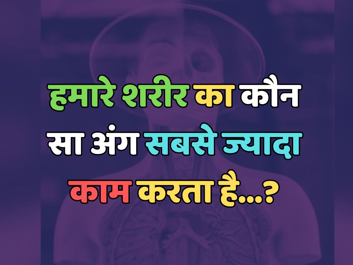 Trending Quiz : हमारे शरीर का कौन-सा अंग सबसे ज्यादा काम करता है? Trending Quiz : हमारे शरीर का कौन-सा अंग सबसे ज्यादा काम करता है?