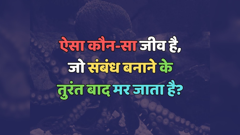 Trending Quiz : ऐसा कौन-सा जीव है, जो संबंध बनाने के तुरंत बाद मर जाता है?