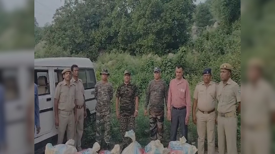 Odisha News: ପାଞ୍ଚ ଲକ୍ଷ ଟଙ୍କାର ଗଞ୍ଜେଇ ଜବତ