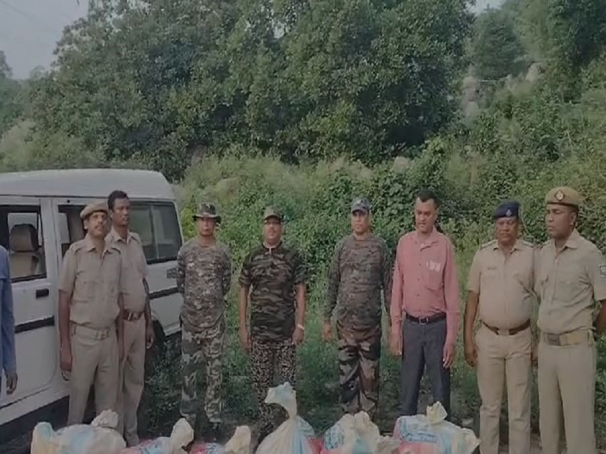 Odisha News: ପାଞ୍ଚ ଲକ୍ଷ ଟଙ୍କାର ଗଞ୍ଜେଇ ଜବତ Odisha News: ପାଞ୍ଚ ଲକ୍ଷ ଟଙ୍କାର ଗଞ୍ଜେଇ ଜବତ