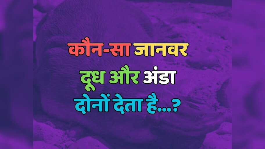 Trending Quiz : कौन सा जानवर दूध और अंडा दोनों देता है?