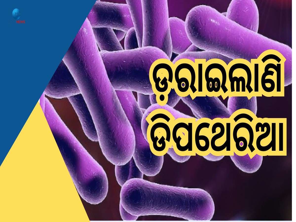 Diphtheria: ଡିପଥେରିଆ ରୋଗ କଣ? ଯାହାକୁ ନେଇ ଛାନିଆ ରାଜ୍ୟର ୩ଟି ଜିଲ୍ଲା Diphtheria: ଡିପଥେରିଆ ରୋଗ କଣ? ଯାହାକୁ ନେଇ ଛାନିଆ ରାଜ୍ୟର ୩ଟି ଜିଲ୍ଲା