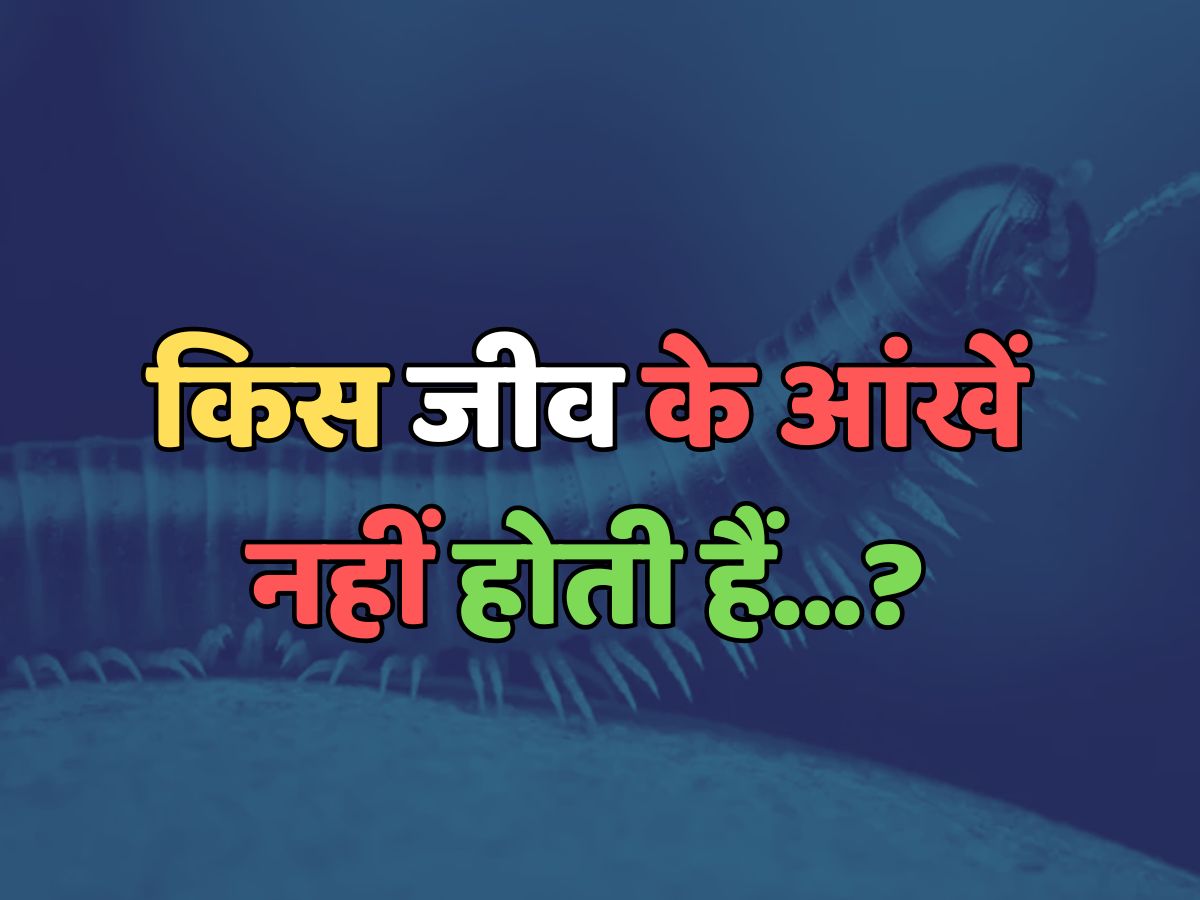 Trending Quiz : किस जीव के आंखें नहीं होती हैं? Trending Quiz : किस जीव के आंखें नहीं होती हैं?