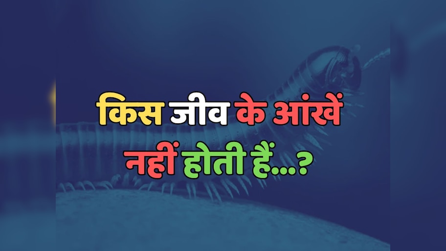 Trending Quiz : किस जीव के आंखें नहीं होती हैं?