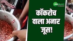 कभी आइसक्रीम में कनखजूरा तो कभी अनार जूस में कॉकरोच, ये है सड़कों पर बिकने वाले खाना