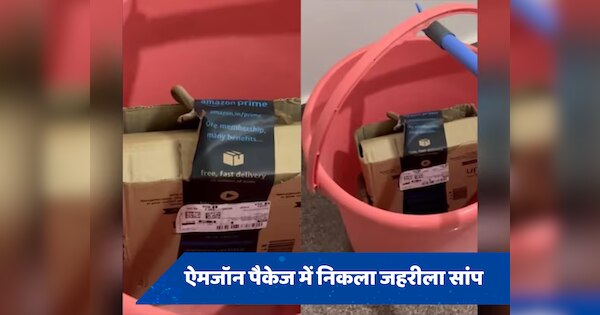 Amazon package: ऐमजॉन के ऑनलाइन आर्डर में निकला जहरीला सांप, बॉक्स खोलते ही उड़े महिला के होश, वीडियो सोशल मीडिया पर वायरल