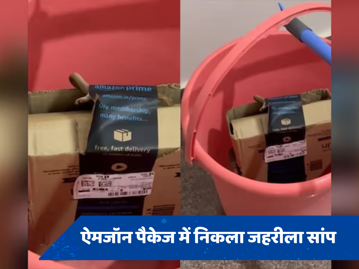 Amazon package: ऐमजॉन के ऑनलाइन आर्डर में निकला जहरीला सांप, बॉक्स खोलते ही उड़े महिला के होश, वीडियो सोशल मीडिया पर वायरल