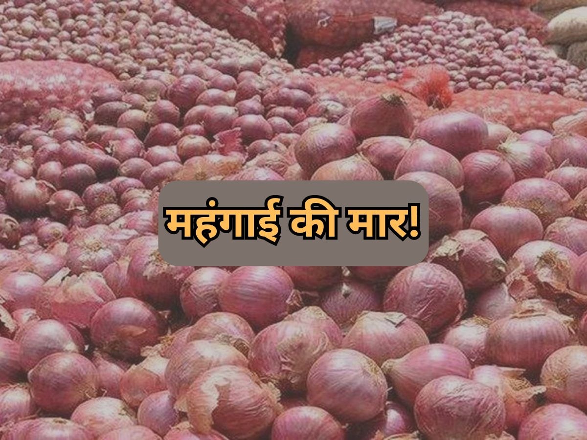 Rajasthan Onion Price News