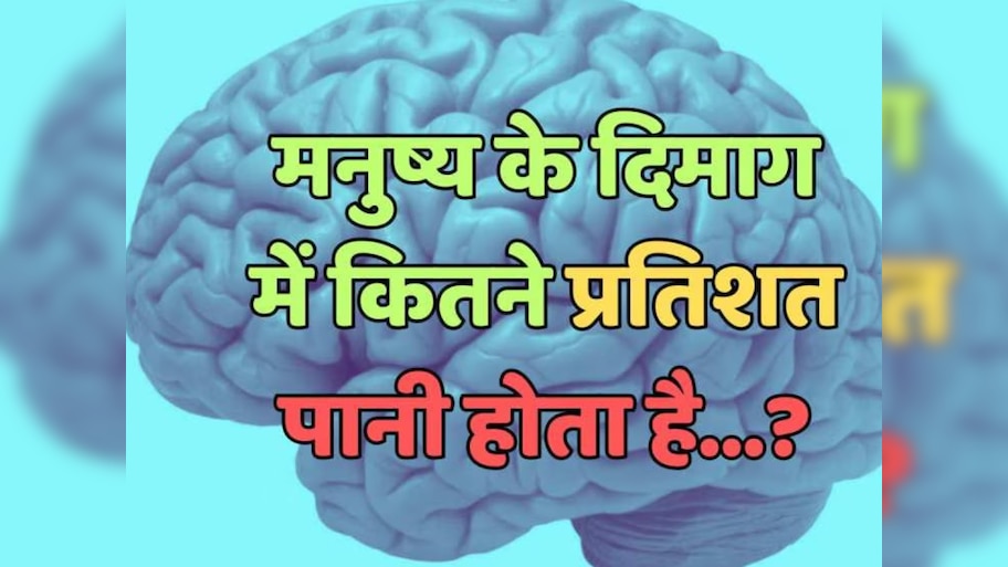 Trending Quiz : मनुष्य के दिमाग में कितने प्रतिशत पानी होता है? 