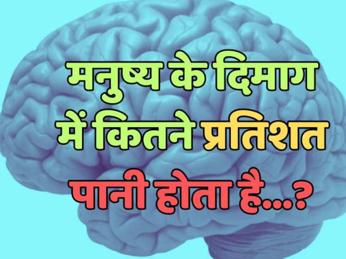 Trending Quiz : मनुष्य के दिमाग में कितने प्रतिशत पानी होता है? Trending Quiz : मनुष्य के दिमाग में कितने प्रतिशत पानी होता है?