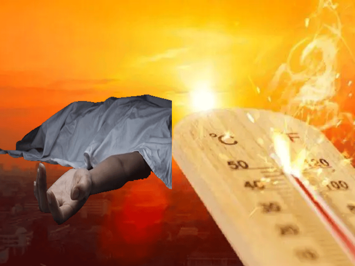 UP में आसमान से बरस रही आग, 24 घंटे में 81 लोगों की हुई मौत; कानपुर में गई सबसे ज्यादा जानें UP में आसमान से बरस रही आग, 24 घंटे में 81 लोगों की हुई मौत; कानपुर में गई सबसे ज्यादा जानें