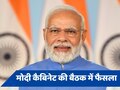 मोदी कैबिनेट ने 14 फसलों पर बढ़ाई MSP, 'तीसरे कार्यकाल में किसानों पर फोकस'