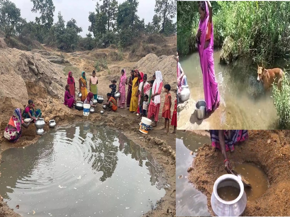 Story of Kankatta village of Jharkhand humans animals quench their ...