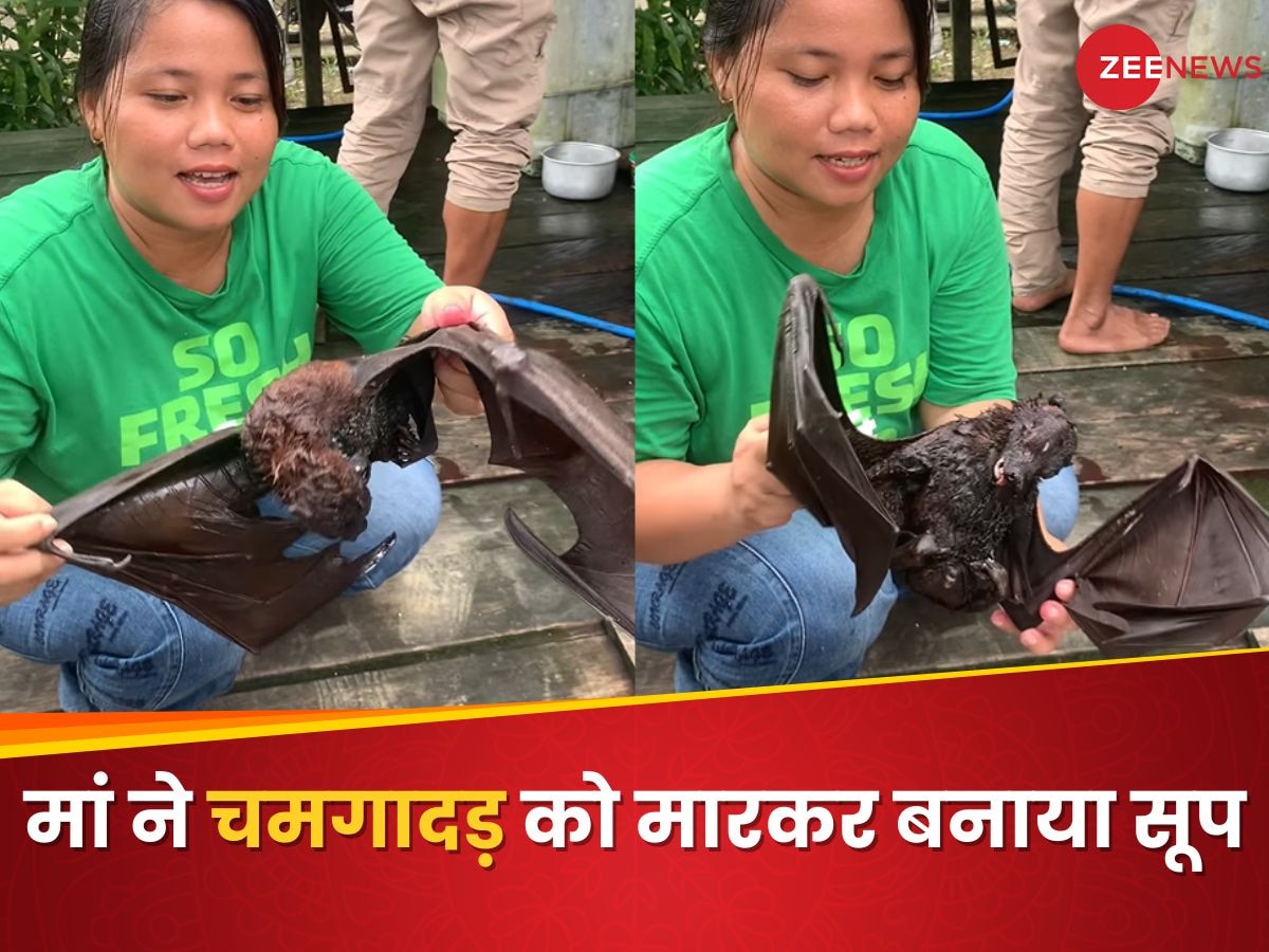 चमगादड़ को मारकर मां ने बनाया उसका सूप, खुद तो पिया, बेटे को भी पिलाया; हैरान कर देने वाला Video