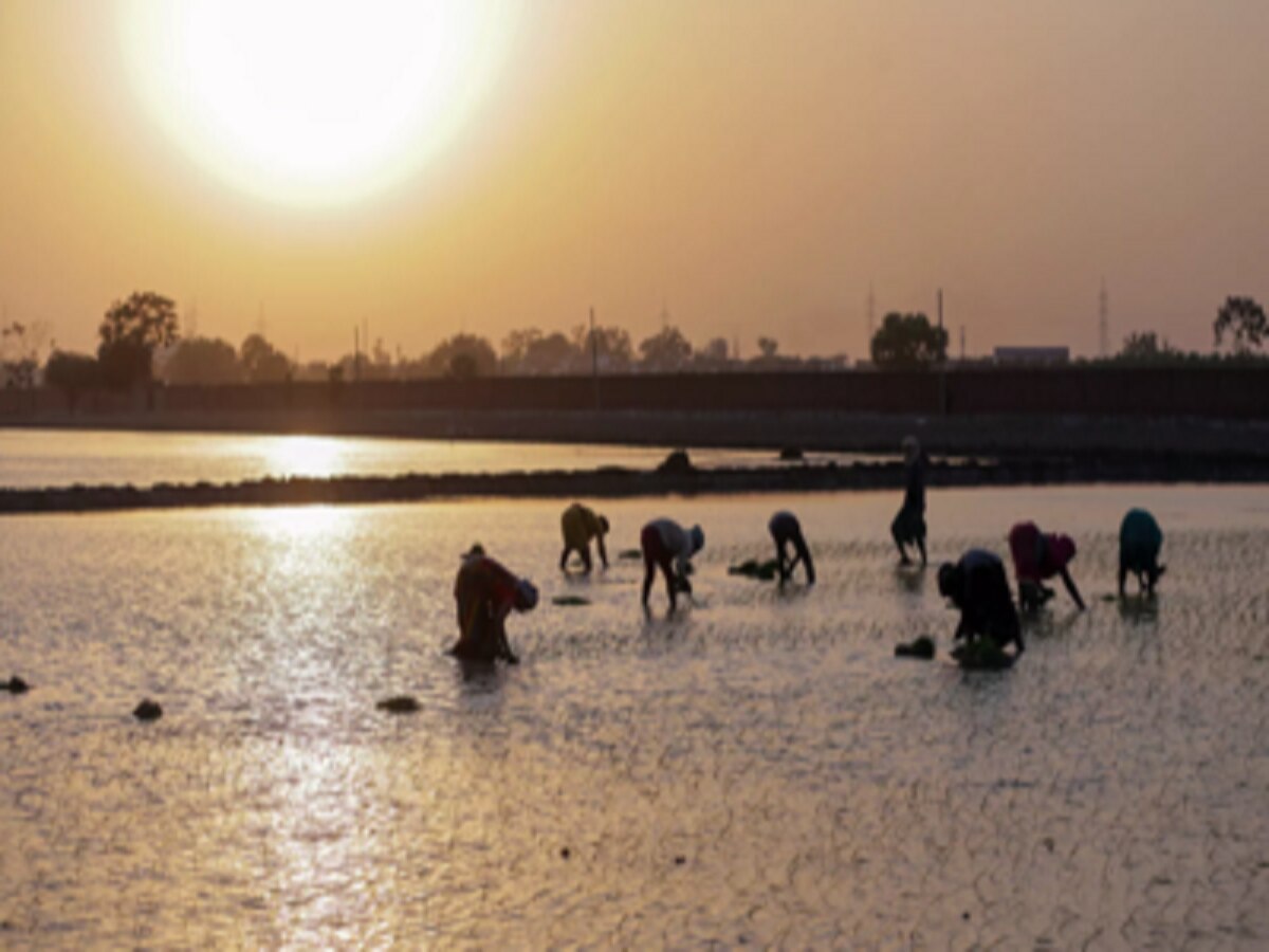 suicide capital of Maharashtra