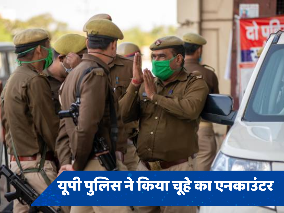 Noida News: कौन है यूपी का कुख्यात चूहा, जिसे यूपी पुलिस ने एनकाउंटर में किया लंगड़ा, 25 हजार का है इनामी