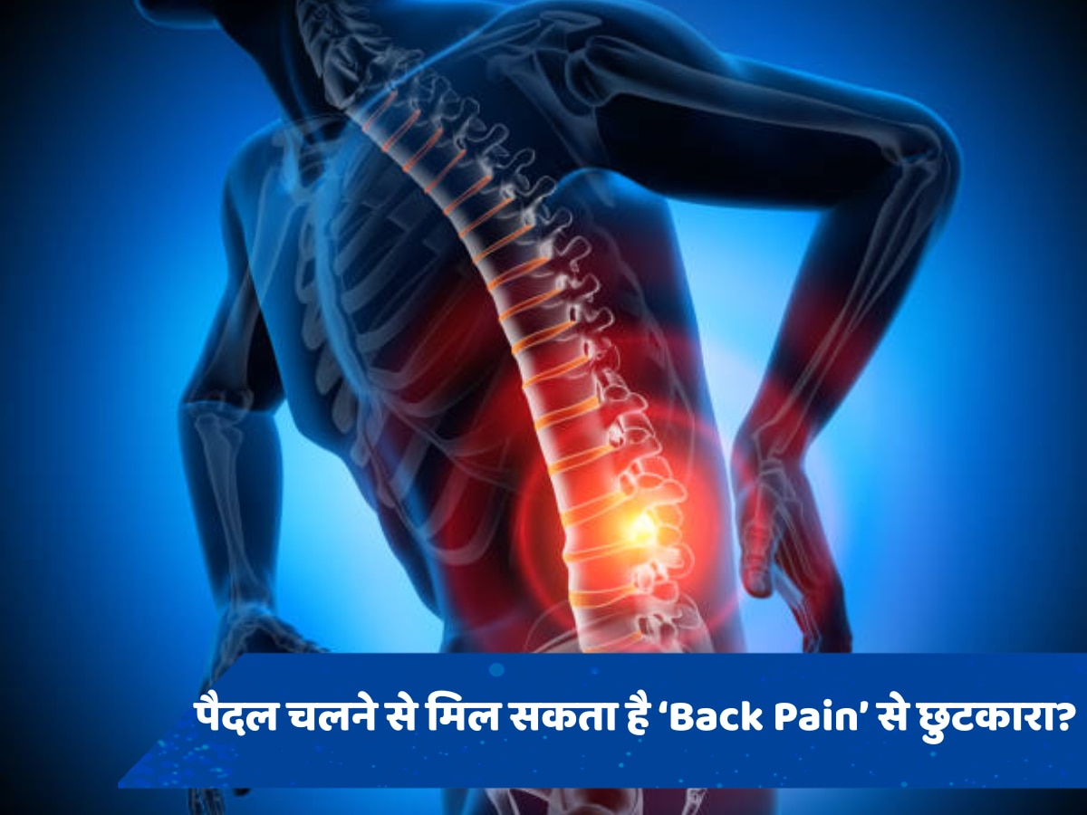 Back Pain Relief: क्या पैदल चलने से पीठ में हो रहे दर्द से मिल सकता है आराम, जानें क्या कहती है स्टडी?