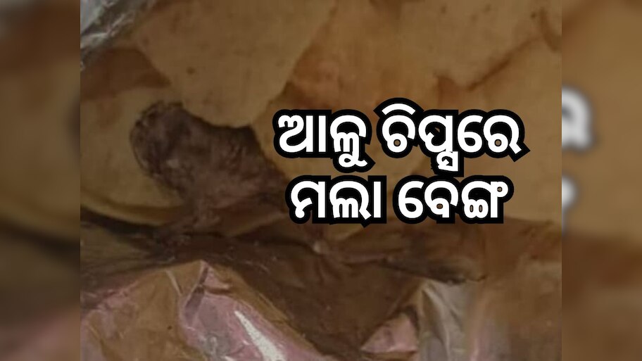 ଆଇସକ୍ରିମରେ ଆଙ୍ଗୁଠି ପରେ ଏବେ ଆଳୁ ଚିପ୍ସରୁ ମିଳିଲା ମଲା ବେଙ୍ଗ