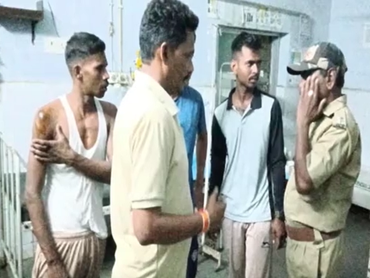 Pratapgarh News: सीतामाता वन्यजीव अभयारण्य में तस्करों का आतंक, सो रहे वन्य कर्मियों पर किया जानलेवा हमला Pratapgarh News: सीतामाता वन्यजीव अभयारण्य में तस्करों का आतंक, सो रहे वन्य कर्मियों पर किया जानलेवा हमला