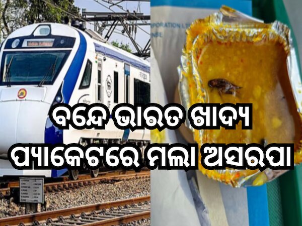 Cockroach In Vande Bharat Train Food