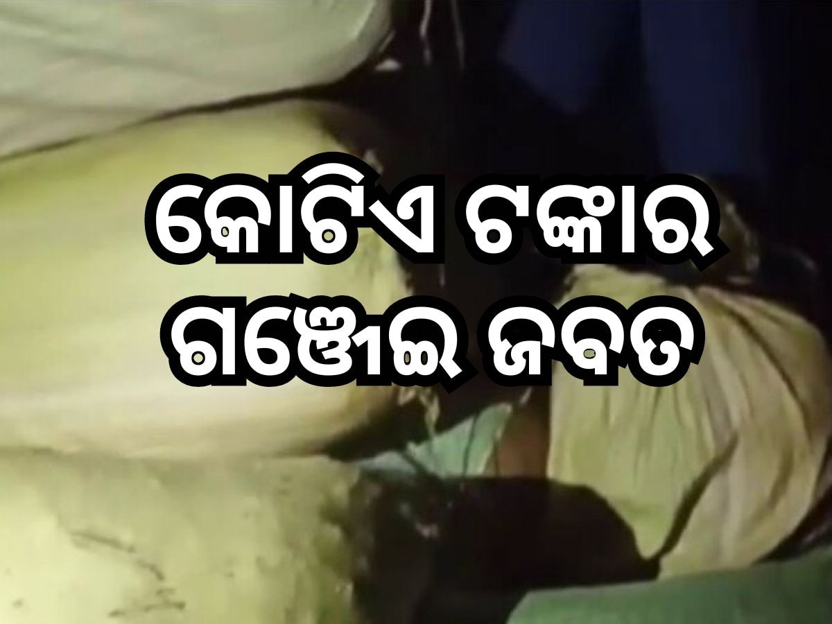 Crime News: ଗଜପତିରୁ ୯ କ୍ଵିଣ୍ଟାଲ ଗଞ୍ଜେଇ ଜବତ