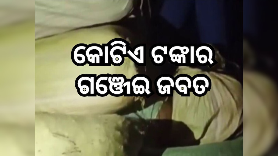 Crime News: ଗଜପତିରୁ ୯ କ୍ଵିଣ୍ଟାଲ ଗଞ୍ଜେଇ ଜବତ