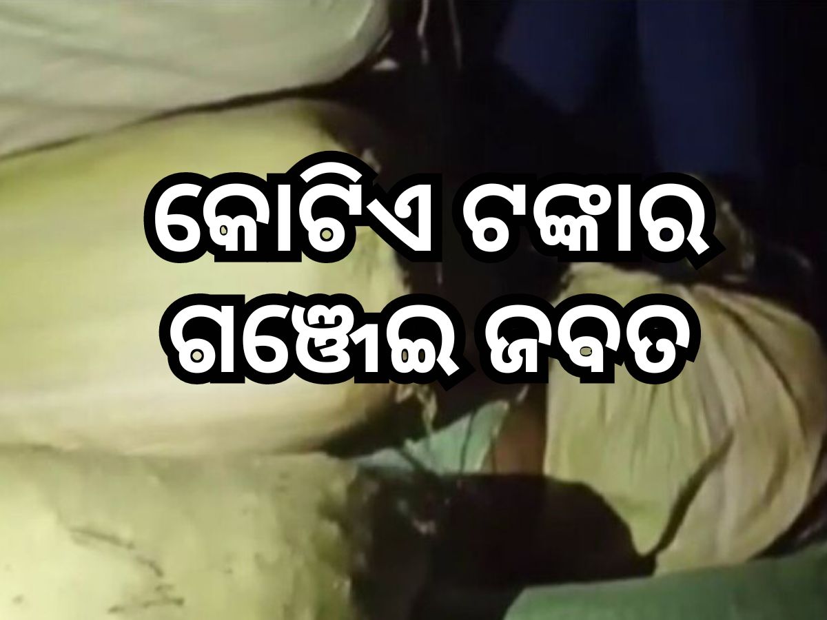 Crime News: ଗଜପତିରୁ ୯ କ୍ଵିଣ୍ଟାଲ ଗଞ୍ଜେଇ ଜବତ Crime News: ଗଜପତିରୁ ୯ କ୍ଵିଣ୍ଟାଲ ଗଞ୍ଜେଇ ଜବତ