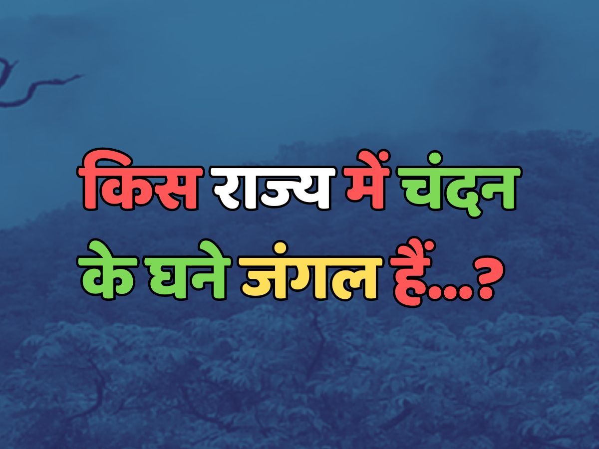 Trending Quiz : किस राज्य में चंदन के घने जंगल हैं? Trending Quiz : किस राज्य में चंदन के घने जंगल हैं?