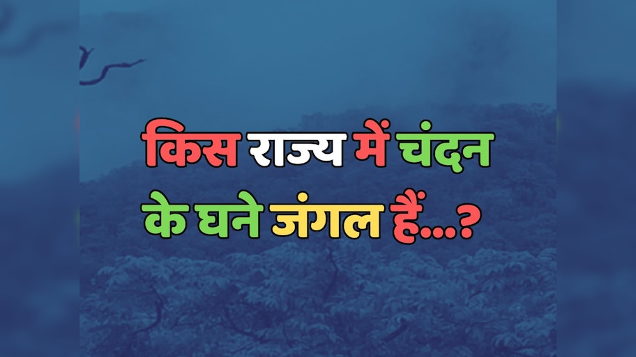 Trending Quiz : किस राज्य में चंदन के घने जंगल हैं? 