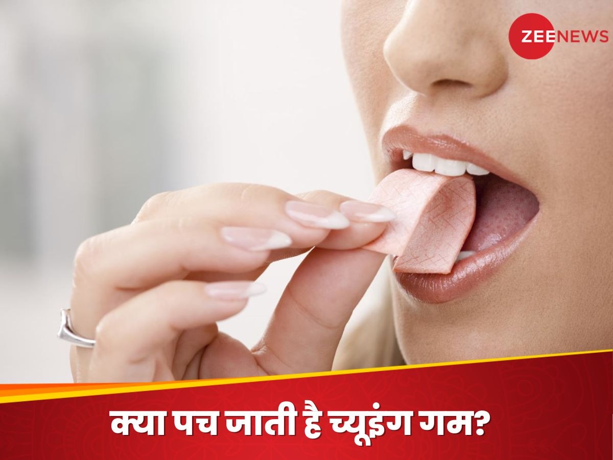  Chewing Gum Digestion: क्या च्यूइंग गम को पचने में 7 साल लगते हैं? चौंका देगा जवाब