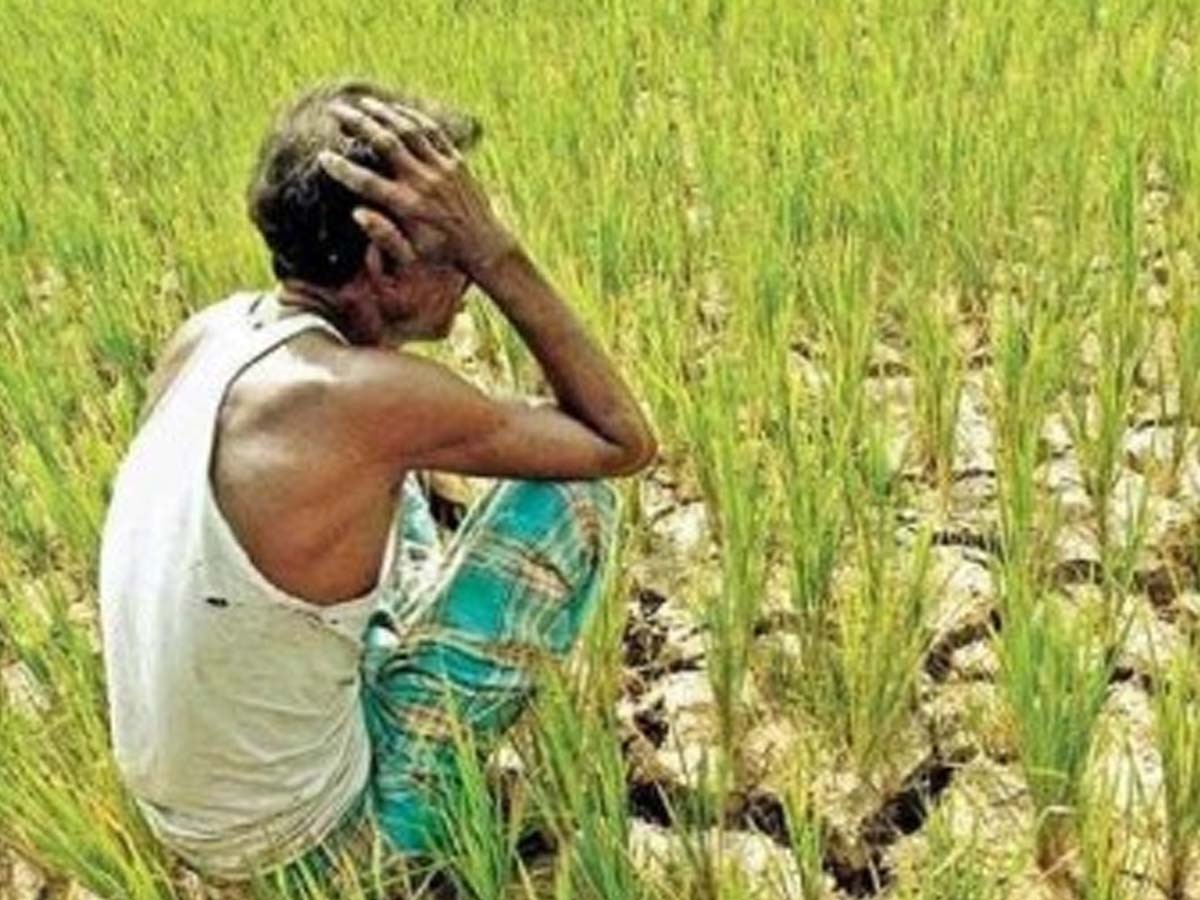 Amravati News: क्या महाराष्ट्र का अमरावती भारत का 'सुसाइड कैपिटल' बन गया है? 5 महीने में 461 किसानों ने की आत्महत्या