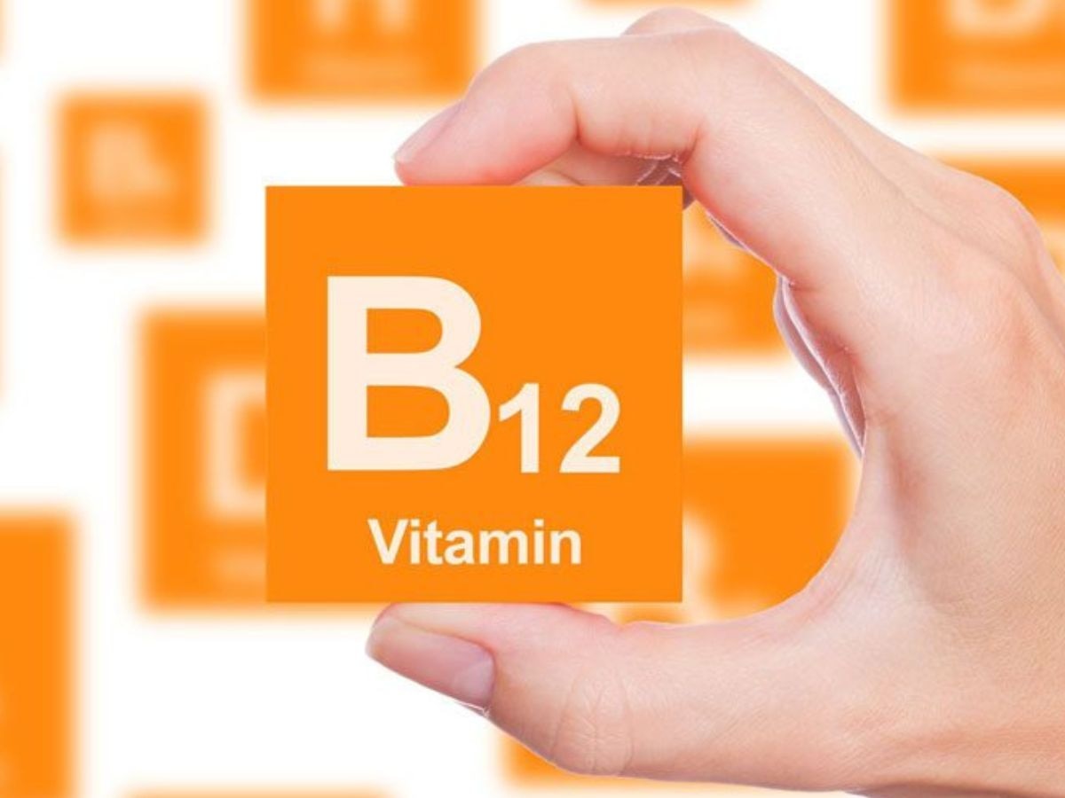 Vitamin B12 deficiency: शरीर को अंदर से खोखला कर देता है विटामिन बी12 की कमी, तुरंत खाना शुरू कर दें 4 शाकाहारी फूड