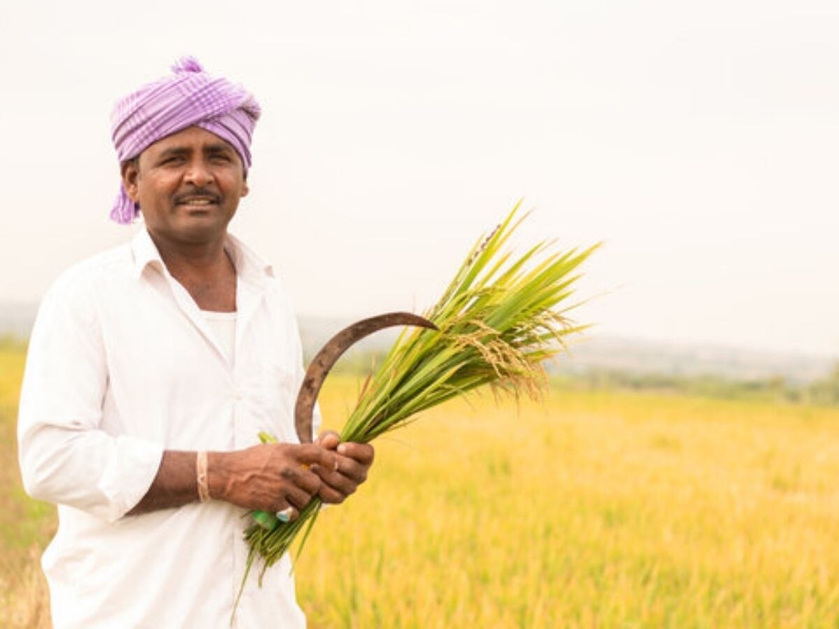 Farmers Loan: ଚାଷୀଙ୍କର ୨ ଲକ୍ଷ ଟଙ୍କା ପର୍ଯ୍ୟନ୍ତ ଋଣ ଛାଡ଼ କଲା ଏହି ରାଜ୍ୟ