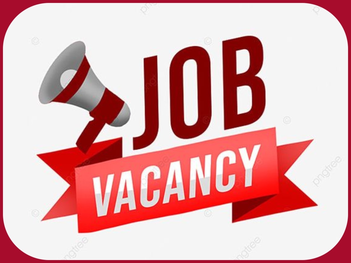 BECIL Jobs: इस भर्ती के लिए 8वीं पास भी कर सकते हैं आवेदन, कंटेंट ऑडिटर समेत कई पदों के लिए वैकेंसी