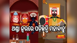 Rathayatra: ଥଣ୍ଡା ଜ୍ୱରରେ ପୀଡିତ ମହାବାହୁ, ଦିନରାତି ଚାଲିଛି ସେବା