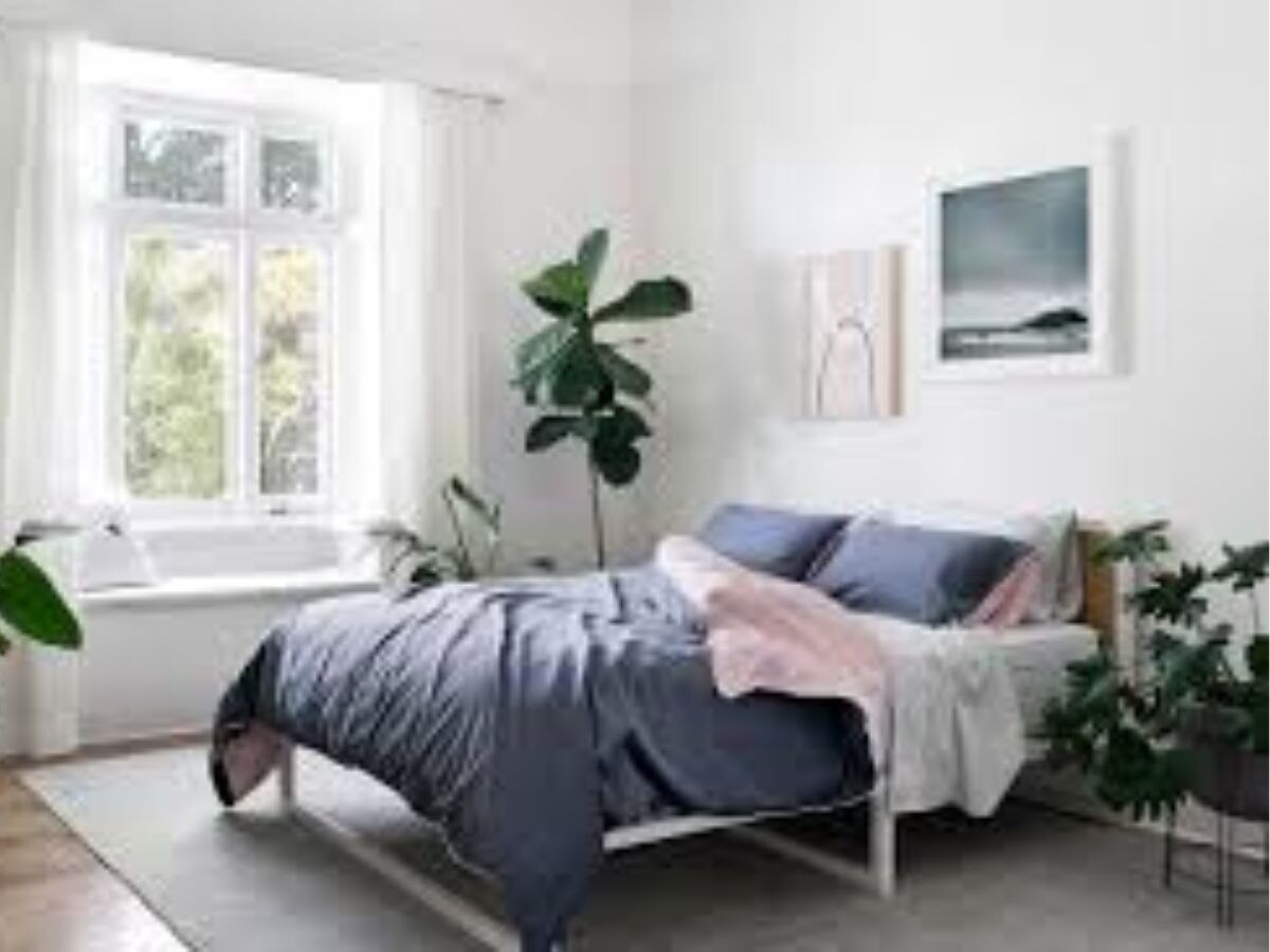 vastu tips according to vastu shastra do not keep cactus in bedroom otherwise happiness and