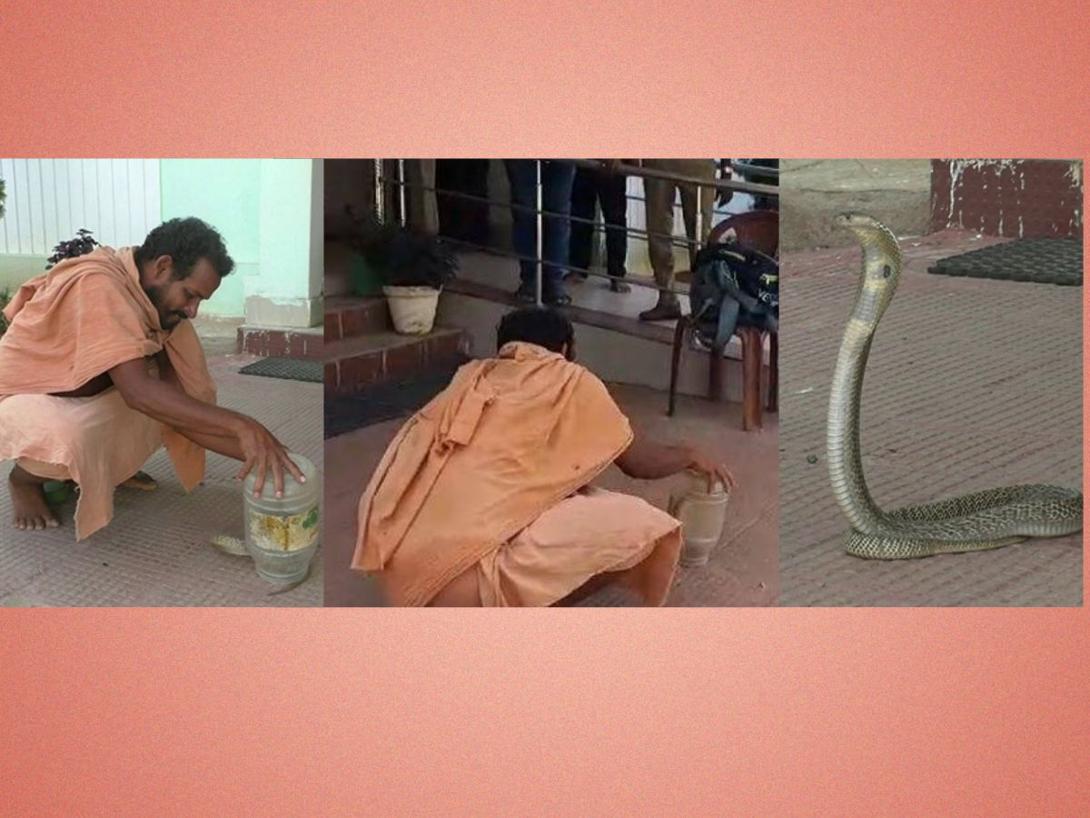 ଦୀର୍ଘ ବର୍ଷ ହେବ ଧରୁଥିଲେ ସାପ, ଆଜି ଚୋଟରେ ଗଲା ଜୀବନ ଦୀର୍ଘ ବର୍ଷ ହେବ ଧରୁଥିଲେ ସାପ, ଆଜି ଚୋଟରେ ଗଲା ଜୀବନ