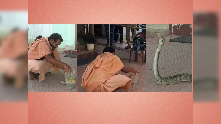 ଦୀର୍ଘ ବର୍ଷ ହେବ ଧରୁଥିଲେ ସାପ, ଆଜି ଚୋଟରେ ଗଲା ଜୀବନ