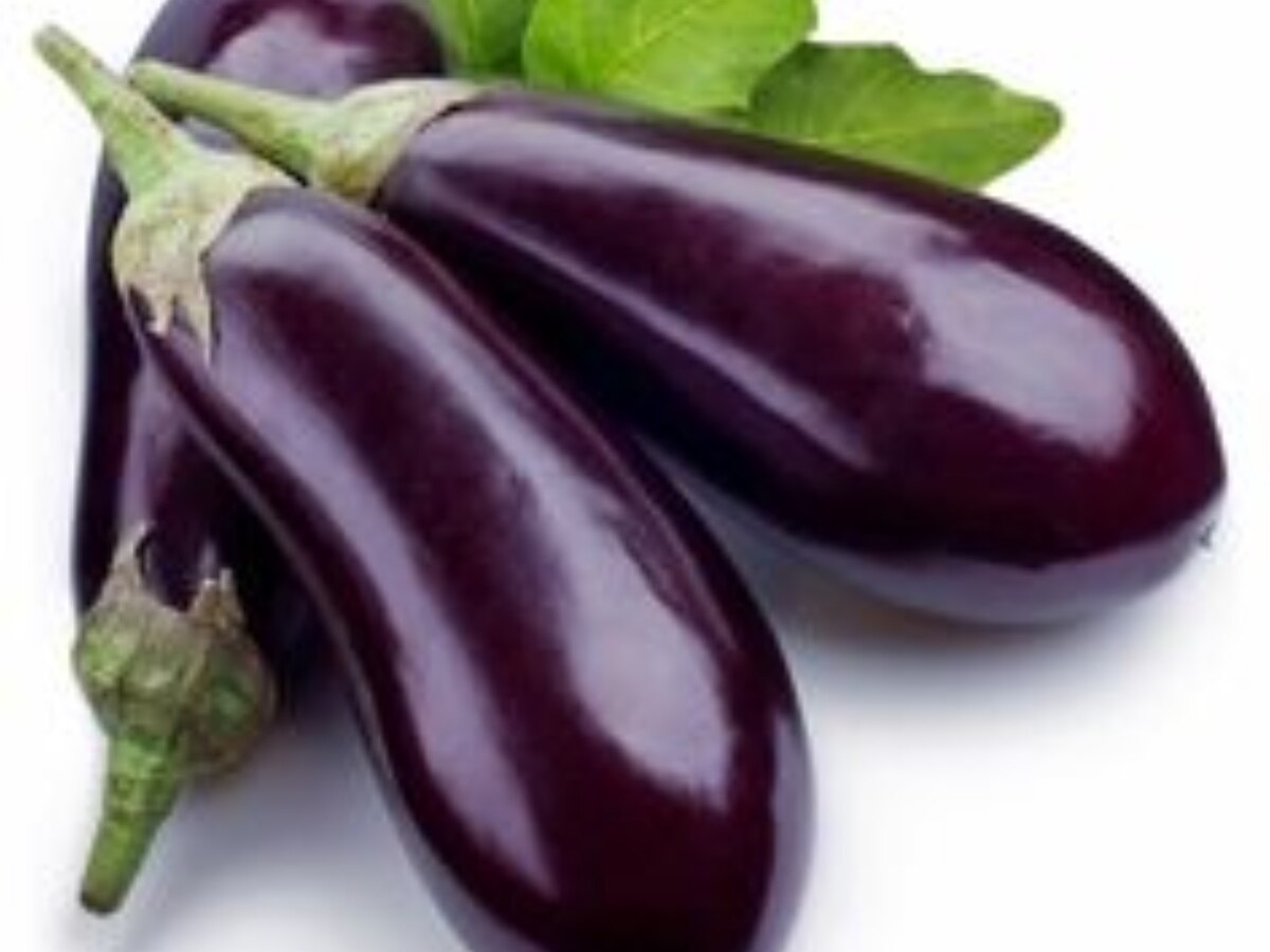 brinjal