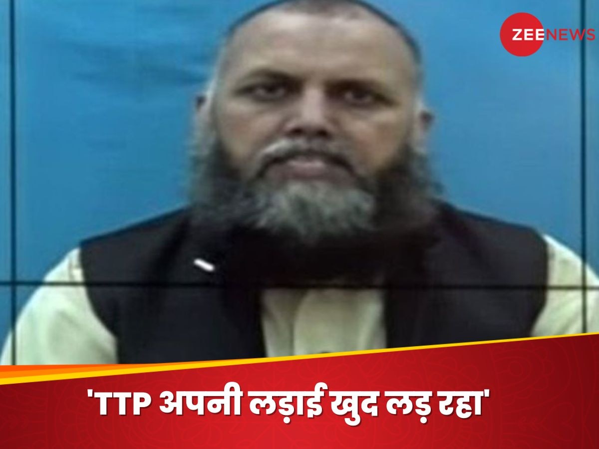 Pakistan News: 'हम अपनी लड़ाई खुद लड़ रहे, भारत से नहीं कोई मतलब', TTP कमांडर ने PAK के दावे की निकाल दी हवा