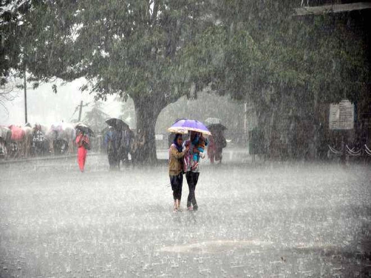 Haryana Weather: हरियाणा में भारी बारिश की चेतावनी, मौसम विभाग ने जारी किया ऑरेंज अलर्ट